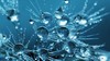 한국물산업협의회 제4기 혁신형 물기업 10개사에 글로벌 강소 물기업으로 성장 적극적으로 지원